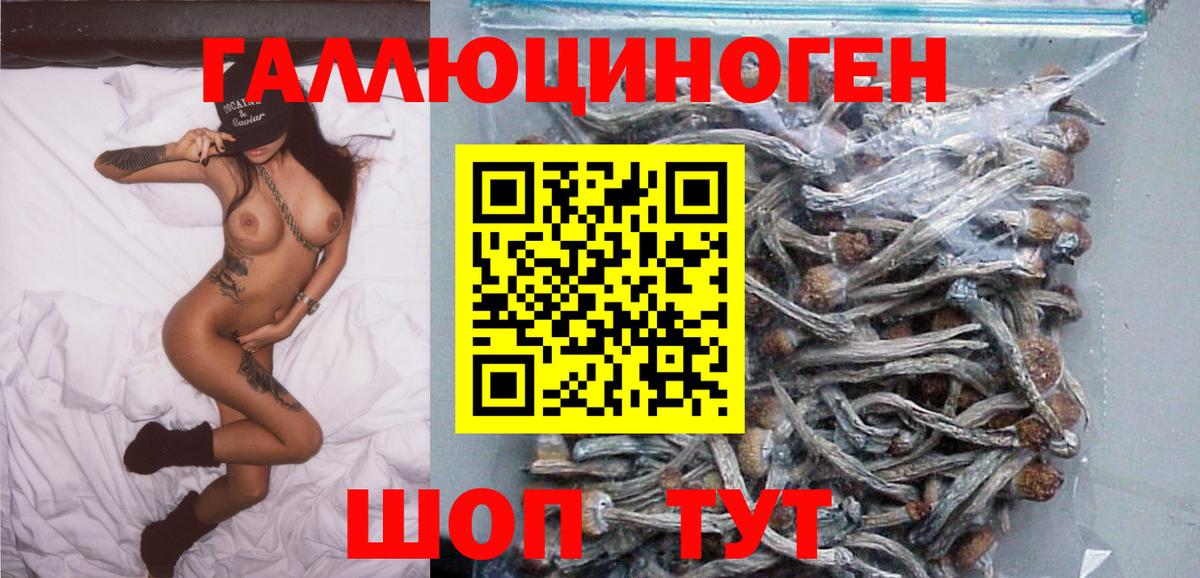 Галлюциногенные грибы Cubensis Нижневартовск